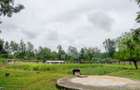 0.5 ac Land in Karen - 2