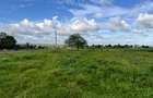 12,950 m² Commercial Land in Kilifi - 9