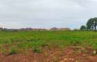 Land in Vipingo - 6