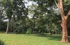 4 ac Residential Land in Kiambu Road - 2