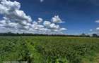 10 ac Land at Isinya - 20