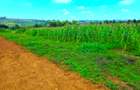 0.045 ha Land at Thigio - 12