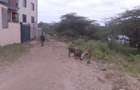 0.25 ac Residential Land at Maasai Lodge Road - 2