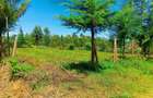 500 m² Residential Land at Runana Area - 9