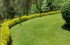4 Bed House with En Suite at Miotoni Close - 3