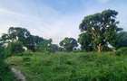 7 ac Land at Mtwapa - 20