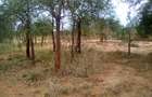 13 ac Land at Namanga Rd - 8
