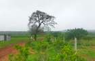 Land in Kilifi County - 2