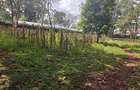 1 ac Land at Thigiri - 12