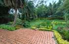Commercial Property with Fibre Internet in Lavington - 6