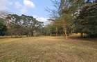 Land in Runda - 3