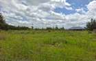 0.25 ac Land at Rimpa Ongata Rongai - 3