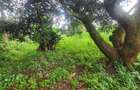 Land in Lower Kabete - 4