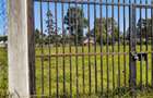 Residential Land at Marula Road - 4