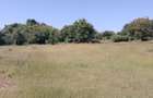 Land in Diani - 6