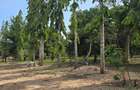 6 ac Land at Mtwapa - 14