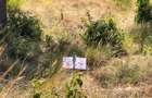 7.47 ac Residential Land at Ruiru-Githunguri Road - 10