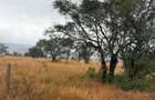 8 ac Land in Athi River - 1