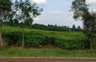 67 ac Land at Ndumberi-Ngorongo Road - 11