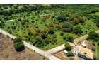 Residential Land in Vipingo - 2