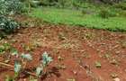 1.3 ac Land at Kiambu Road - 2