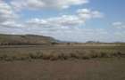 100 ac Land at Olepolos - 7