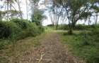 25 ac Land at Moi South Lake Rd - 6