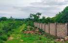 Land in Vipingo - 6
