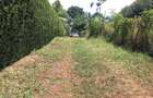 0.5 ac Residential Land at Muthithi - 2