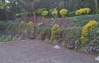 Commercial Property with Parking in Karen - 4