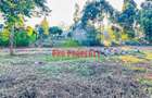 0.05 ha Residential Land in Kikuyu Town - 11