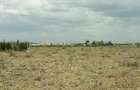 0.075 ha Land at Kitengela - Pine Breeze Estate - 1