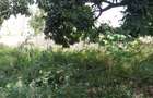 4,047 m² Commercial Land in Kilifi County - 7