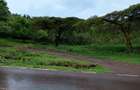 15 ac Land in Tigoni - 1