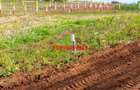 0.05 ha Residential Land at Nachu - 4