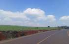 5 ac Land at Near Tatu City - 10