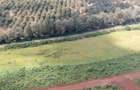 0.125 ac Residential Land in Juja - 7