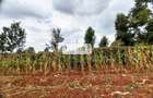 0.5 ac Residential Land in Kiambu Road - 3