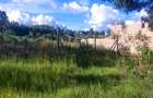 0.125 ac Land in Kamangu - 3