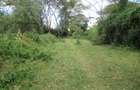 25 ac Land at Moi S Lake Rd - 15