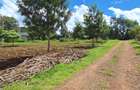 1 ac Residential Land at Tigoni - 11