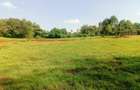 500 m² Land at Thogoto Teachers College - 11
