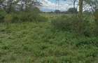 0.25 ac Commercial Land at Lake View - 9