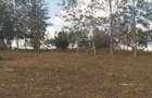 500 m² Residential Land in Ngong - 3