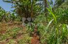 4.8 ac Land in Limuru - 12