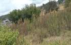 Residential Land at Kibiko - 7