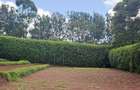 0.25 ac Residential Land at Kerarapon Drive - 1