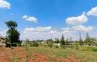 Residential Land at Ruiru Mhasibu - 3