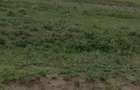5 ac Land at Segera - 3
