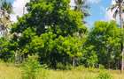 Land in Kilifi County - 8